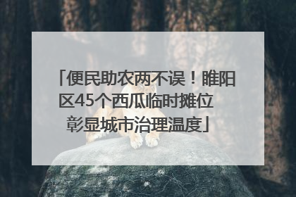 便民助农两不误！睢阳区45个西瓜临时摊位 彰显城市治理温度
