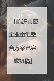 临沂市属企业重组整合方案已完成初稿