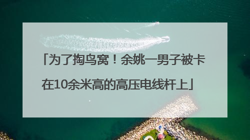 为了掏鸟窝！余姚一男子被卡在10余米高的高压电线杆上