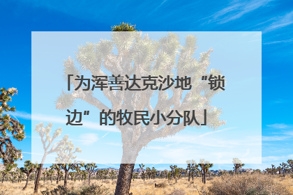 为浑善达克沙地“锁边”的牧民小分队
