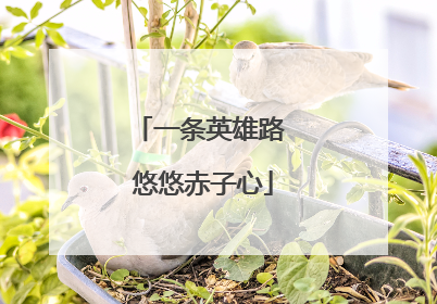 一条英雄路 悠悠赤子心