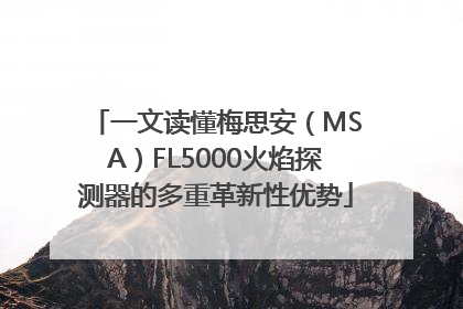 一文读懂梅思安（MSA）FL5000火焰探测器的多重革新性优势