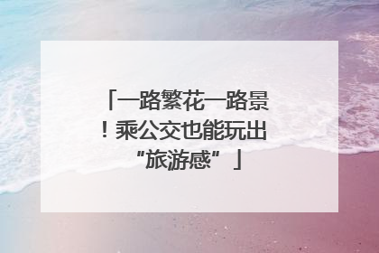 一路繁花一路景！乘公交也能玩出“旅游感”