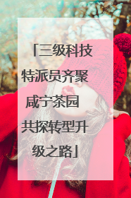 三级科技特派员齐聚咸宁茶园 共探转型升级之路