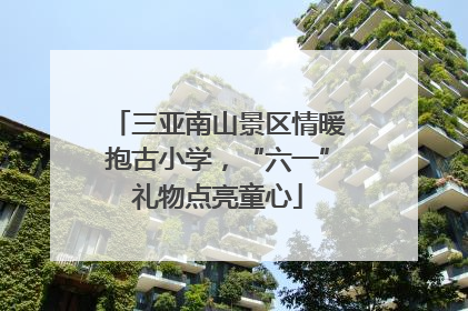 三亚南山景区情暖抱古小学，“六一”礼物点亮童心