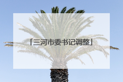 三河市委书记调整