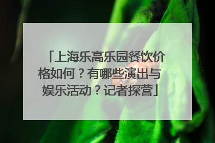 上海乐高乐园餐饮价格如何？有哪些演出与娱乐活动？记者探营