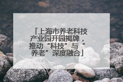 上海市养老科技产业园开园揭牌，推动“科技”与“养老”深度融合
