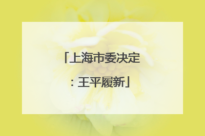 上海市委决定：王平履新