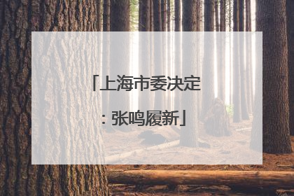 上海市委决定：张鸣履新