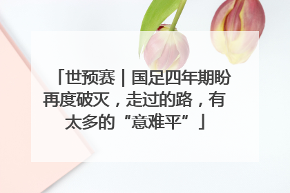 世预赛｜国足四年期盼再度破灭，走过的路，有太多的“意难平”