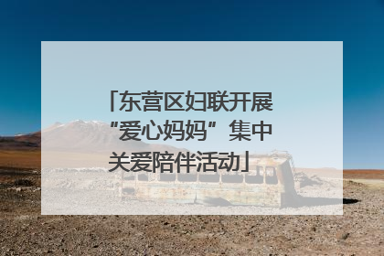 东营区妇联开展“爱心妈妈”集中关爱陪伴活动