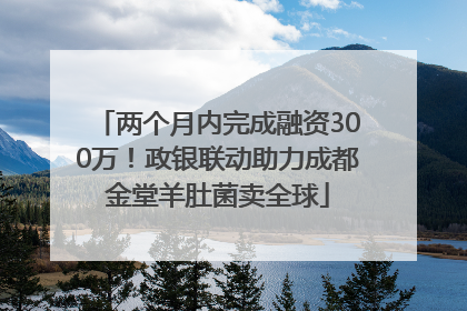 两个月内完成融资300万！政银联动助力成都金堂羊肚菌卖全球