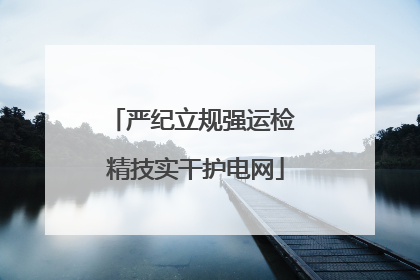 严纪立规强运检 精技实干护电网