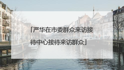 严华在市委群众来访接待中心接待来访群众