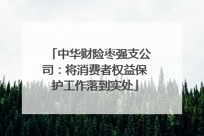 中华财险枣强支公司：将消费者权益保护工作落到实处