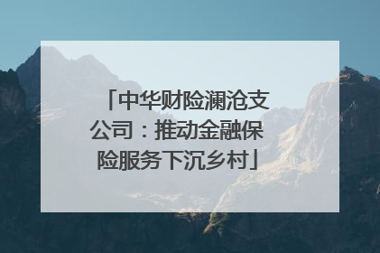中华财险澜沧支公司：推动金融保险服务下沉乡村