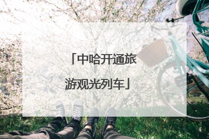 中哈开通旅游观光列车