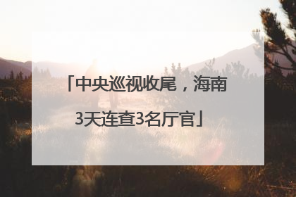 中央巡视收尾，海南3天连查3名厅官