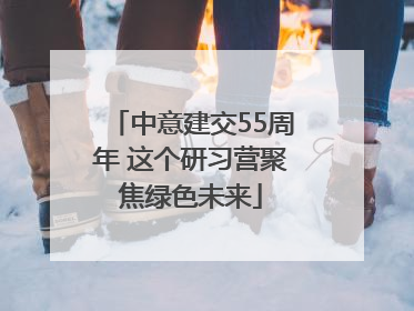 中意建交55周年 这个研习营聚焦绿色未来