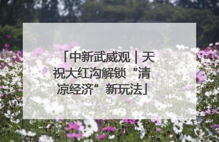 中新武威观｜天祝大红沟解锁“清凉经济”新玩法