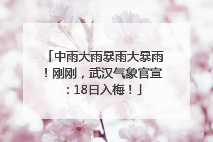 中雨大雨暴雨大暴雨！刚刚，武汉气象官宣：18日入梅！