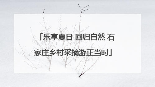 乐享夏日 回归自然 石家庄乡村采摘游正当时