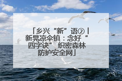 乡兴“新”语②丨新晃凉伞镇：念好“四字诀” 织密森林防护安全网