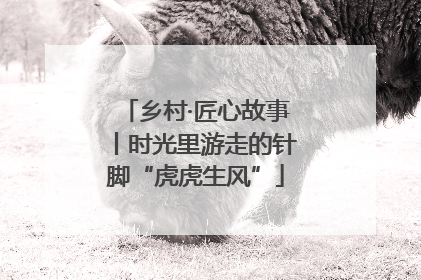 乡村·匠心故事丨时光里游走的针脚“虎虎生风”