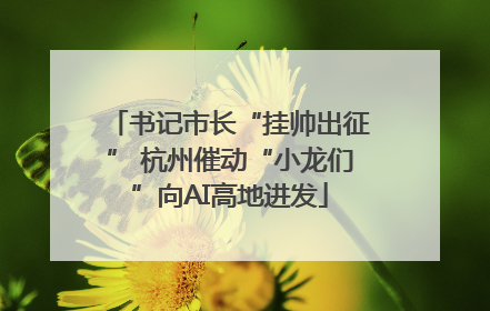 书记市长“挂帅出征” 杭州催动“小龙们”向AI高地进发