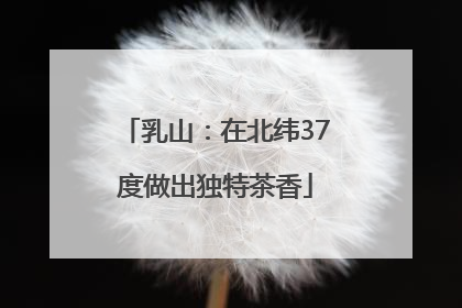 乳山：在北纬37度做出独特茶香