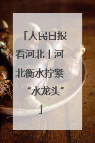 人民日报看河北丨河北衡水拧紧“水龙头”