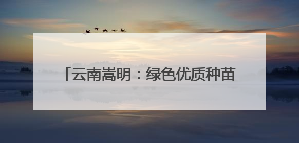 云南嵩明：绿色优质种苗培育 打开“缤纷世界”