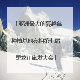 亚洲最大的蔓越莓种植基地亮相第七届黑龙江旅发大会
