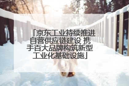 京东工业持续推进自营供应链建设 携手百大品牌构筑新型工业化基础设施