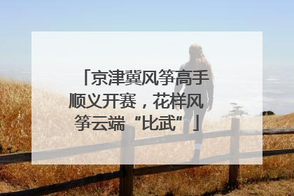 京津冀风筝高手顺义开赛，花样风筝云端“比武”