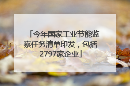 今年国家工业节能监察任务清单印发，包括2797家企业