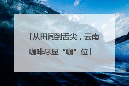 从田间到舌尖，云南咖啡尽显“咖”位