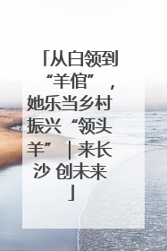 从白领到“羊倌”，她乐当乡村振兴“领头羊”｜来长沙 创未来