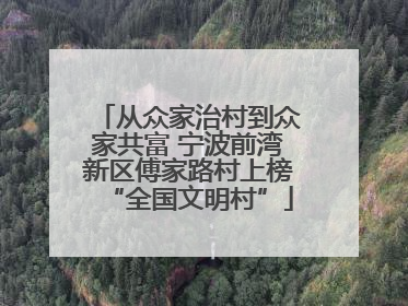 从众家治村到众家共富 宁波前湾新区傅家路村上榜“全国文明村”