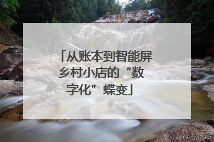 从账本到智能屏 乡村小店的“数字化”蝶变