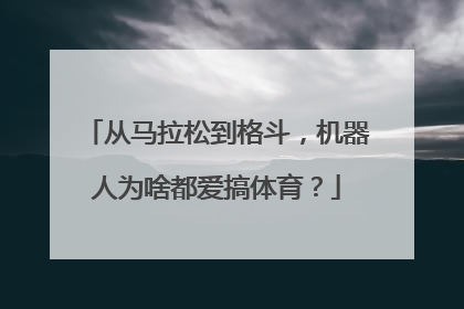 从马拉松到格斗，机器人为啥都爱搞体育？