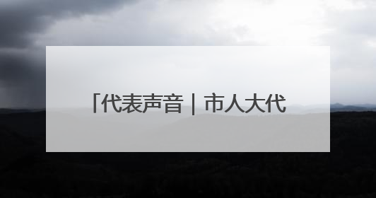 代表声音｜市人大代表李远方：履职13年 她这样“找”建议