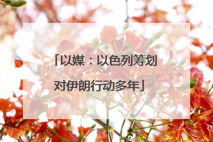 以媒：以色列筹划对伊朗行动多年