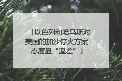 以色列和哈马斯对美国的加沙停火方案态度显“温差”