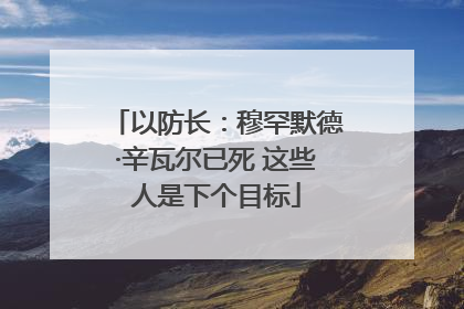 以防长：穆罕默德·辛瓦尔已死 这些人是下个目标
