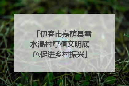 伊春市嘉荫县雪水温村厚植文明底色促进乡村振兴