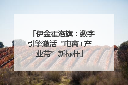 伊金霍洛旗：数字引擎激活“电商+产业带”新标杆