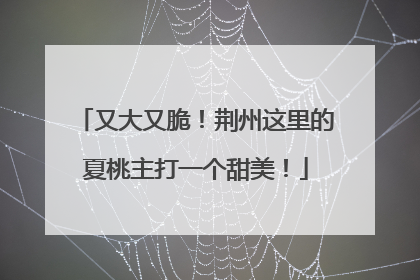 又大又脆！荆州这里的夏桃主打一个甜美！