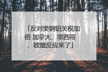 反对美钢铝关税加倍 加拿大、墨西哥、欧盟反应来了